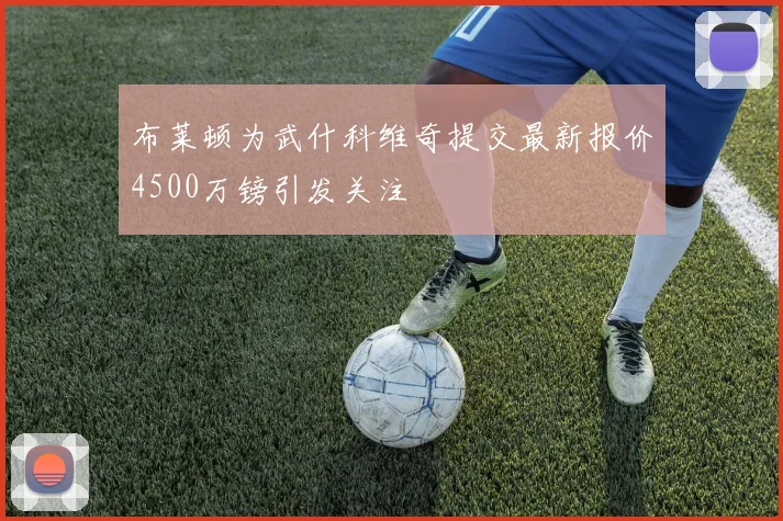 布莱顿为武什科维奇提交最新报价4500万镑引发关注