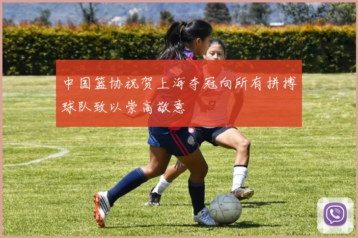 中国篮协祝贺上海夺冠向所有拼搏球队致以崇高敬意